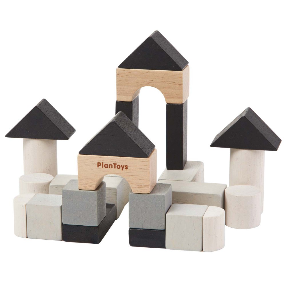 PlanToys – Set de Construção (Pk 6)