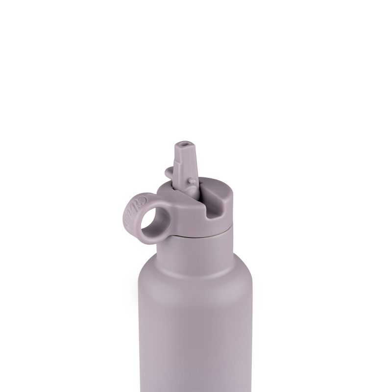 citron-water-bottle-750-ml-stainless-steel-purple-2.jpg