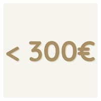 Menos de 300€