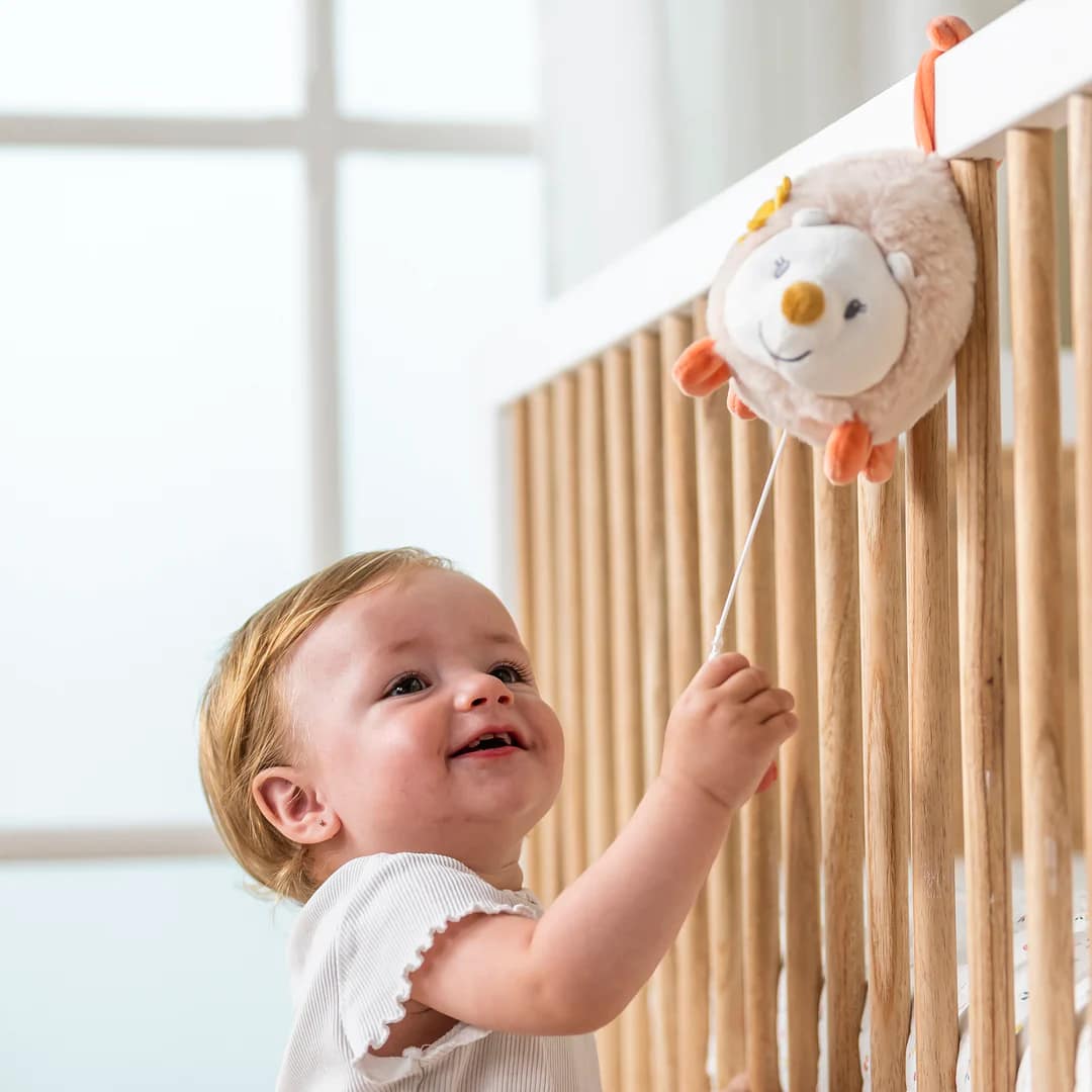 5414673266086C_d1e70b93-5aea-42ee-902c-3cea832adc07_1080x