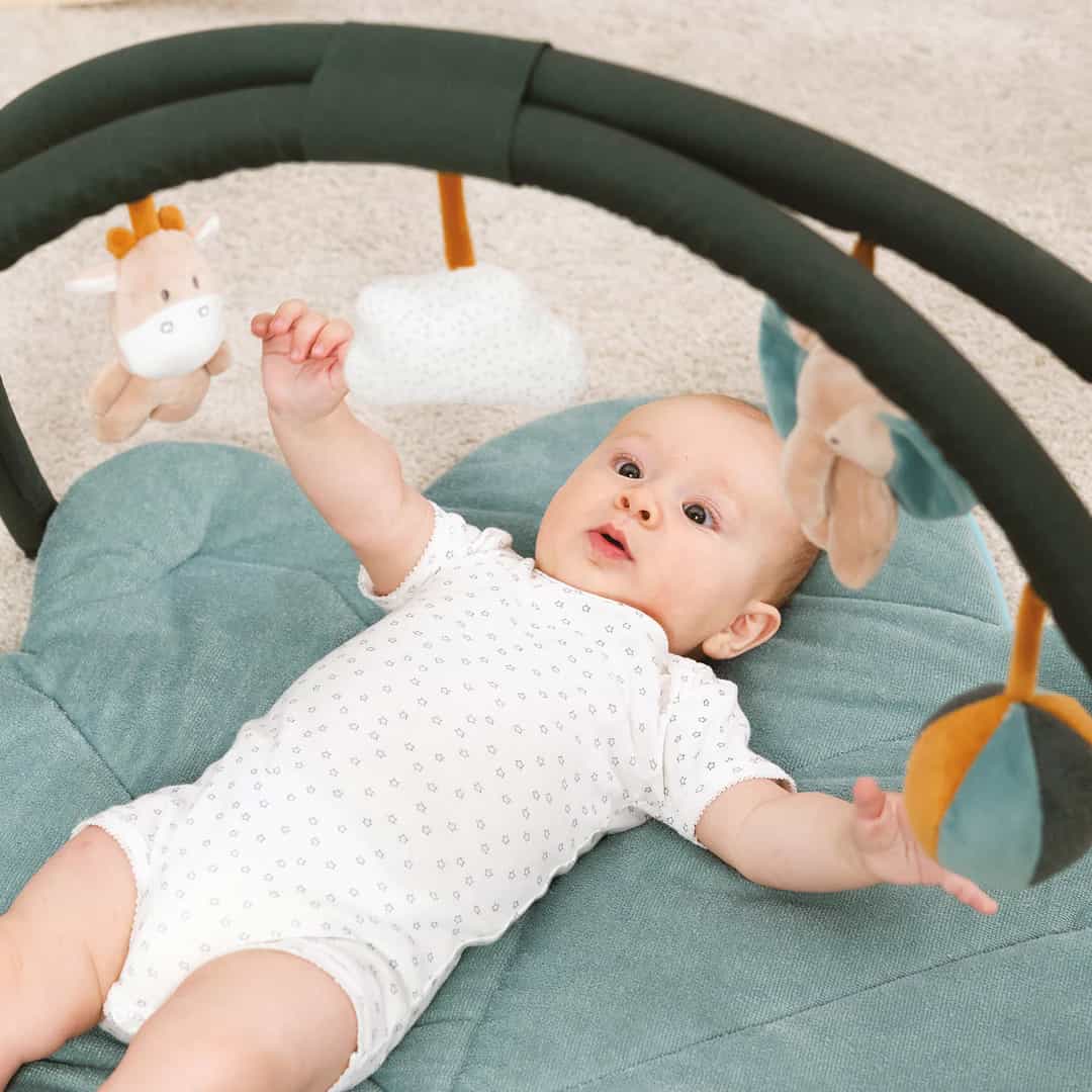 748223_2_b31fddd4-75de-4e9b-a7d6-e35ceae3662d_1080x