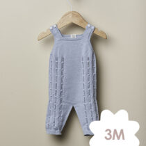 Wedoble Jardineiras Azul bebe - 3M