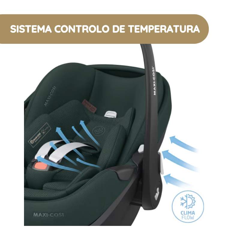 Maxi-Cosi Cadeira Auto Pebble 360 Pro2