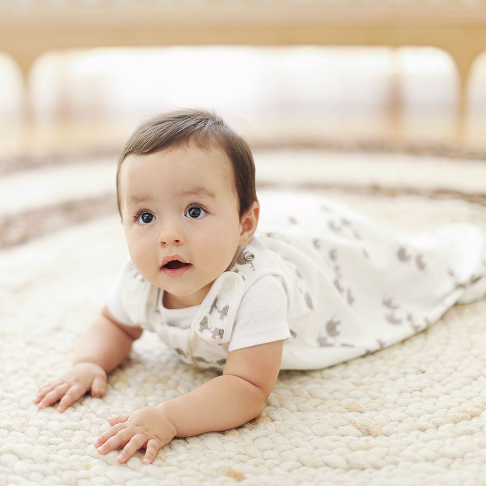 Ergobaby-Saco-de-Dormir-Classico-Elefantes-2