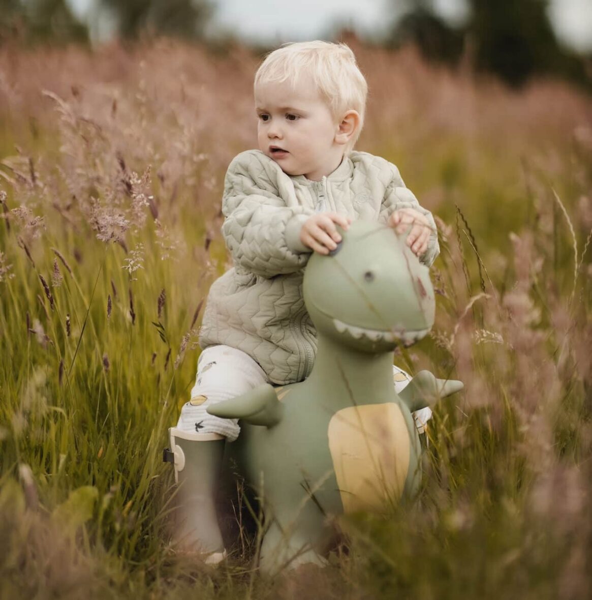 IMG_3614-e1736250291669 (1)