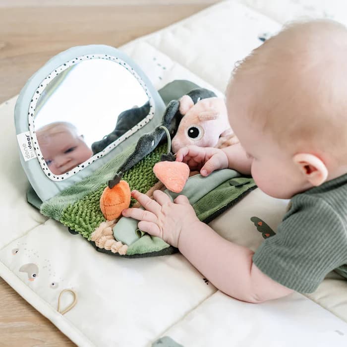 Tummy-time-sensory-mirror-Tiny-farm-Colour-mix-4.jpg