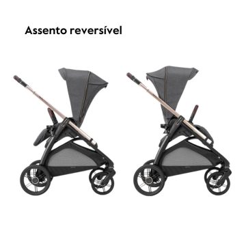 Inglesina System Quattro Aptica Darwin assento reversível