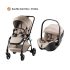 Duo Rio Carrinho + Ovinho Baby-Safe Pro da Britax Romer - Style Teak