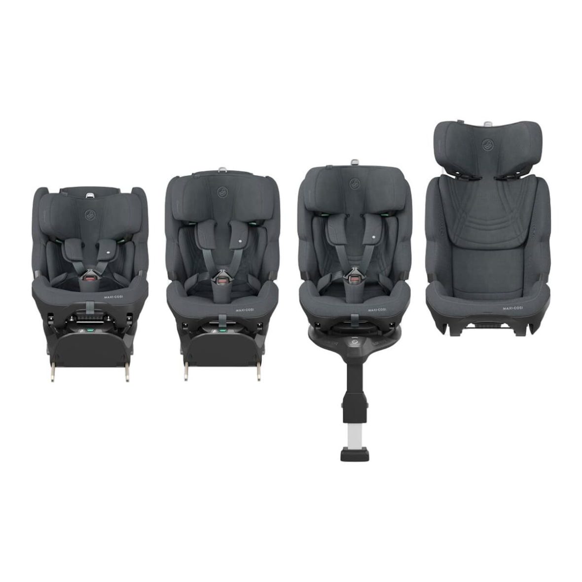 www-001005322468264-02 (1)