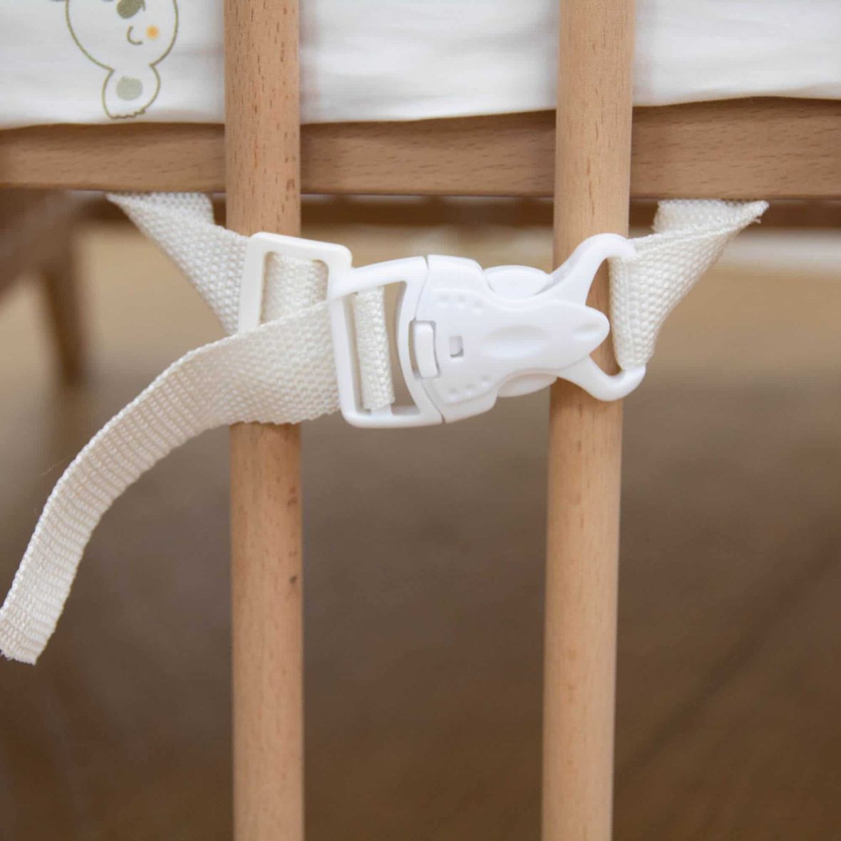 8431830300886-1-2 (1)